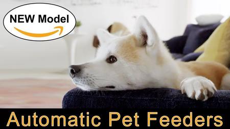 Automatic Pet Feeders for Dogs & Cats