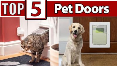 Top 5 Pet Doors for Your Furry Friends
